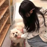 武侠无双单机游戏下载